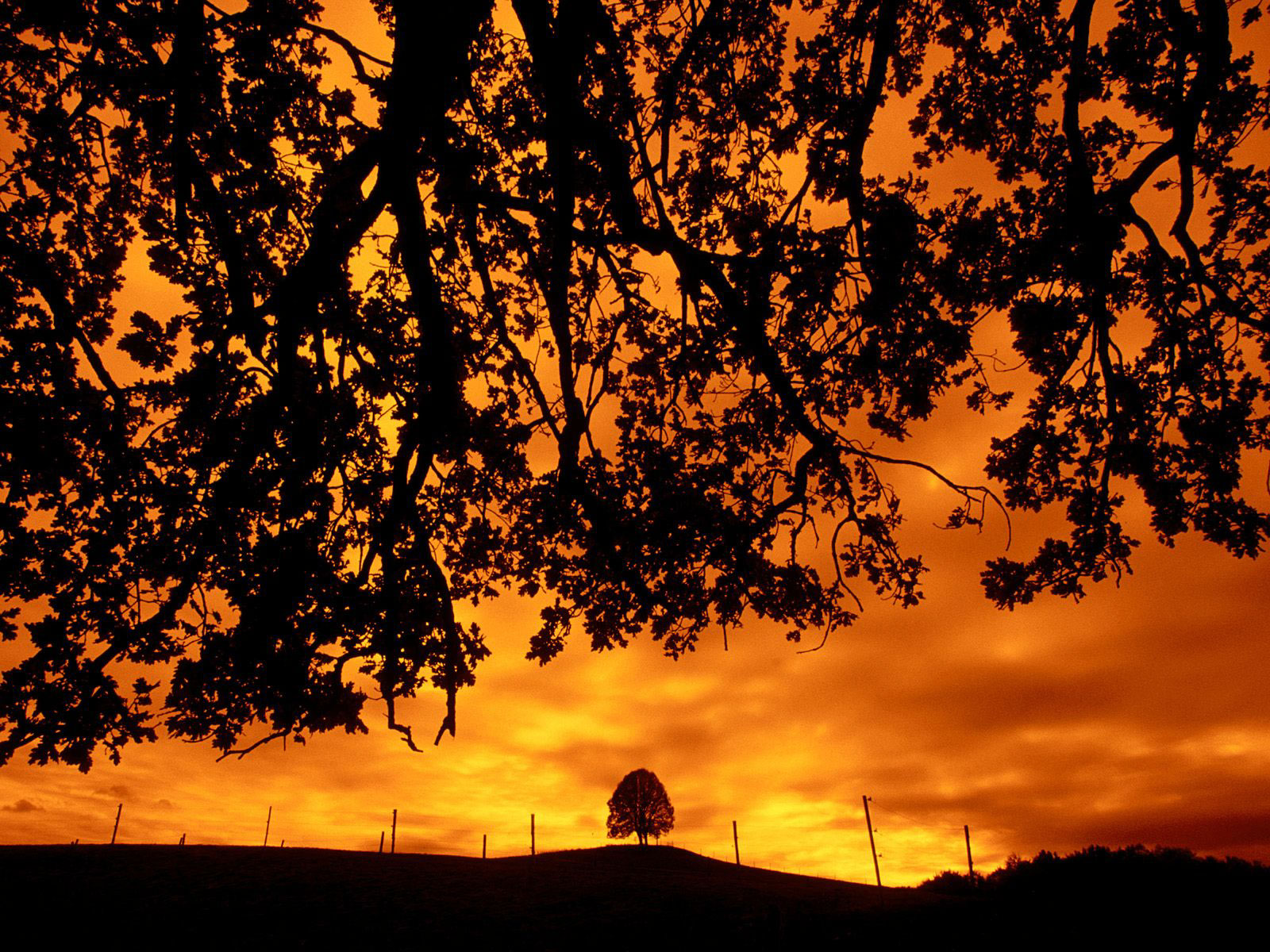Earth-Sunset-33074