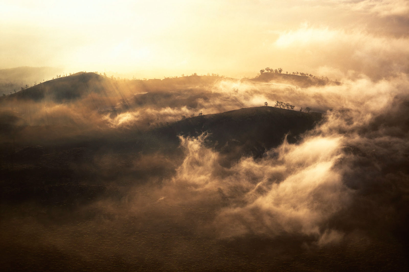 Landscape1