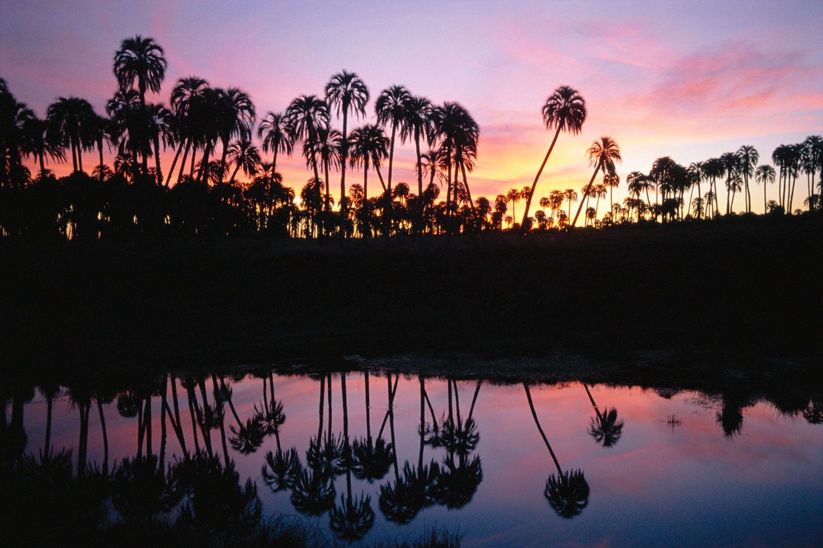 Landscape54