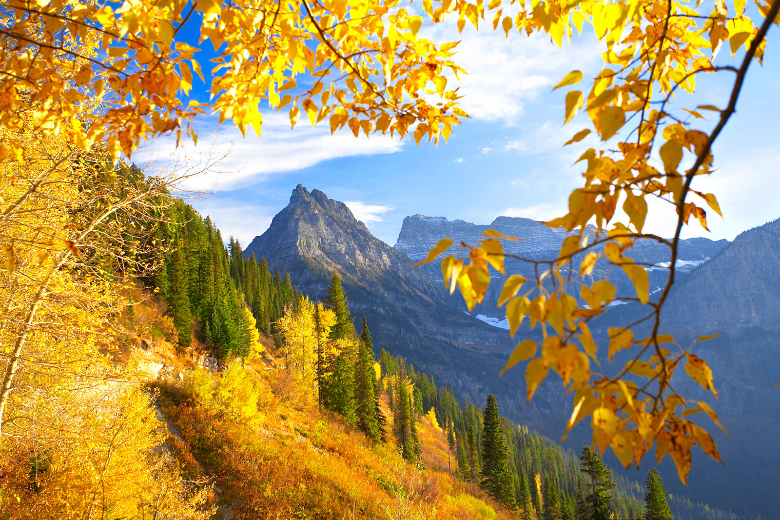 Landscape64