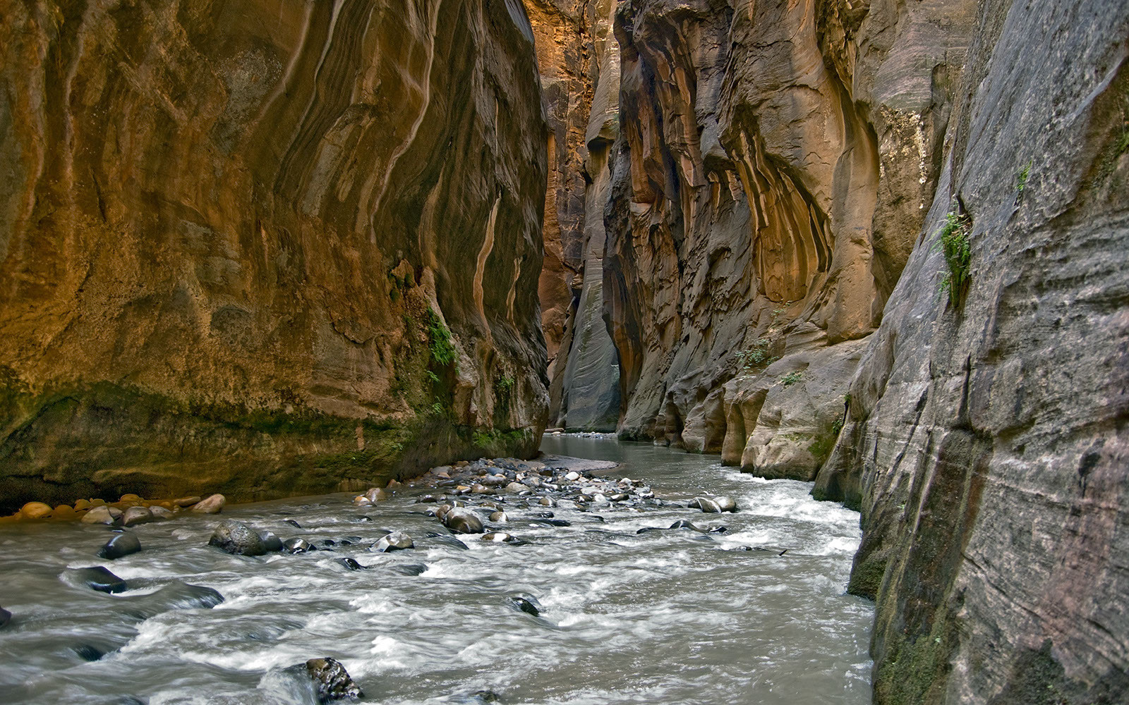 Earth-Water-42318