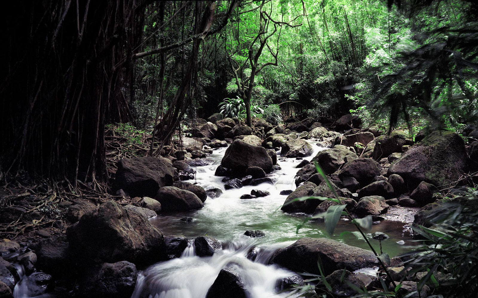 Earth-Water-54046