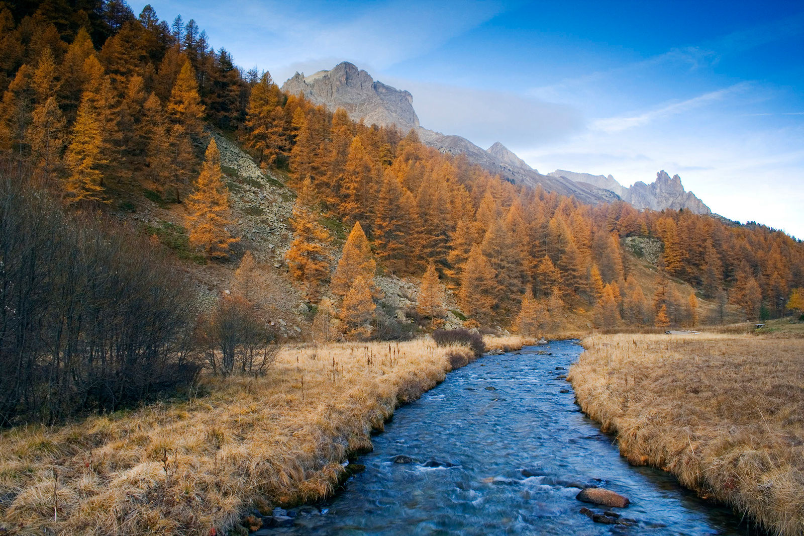Landscape33