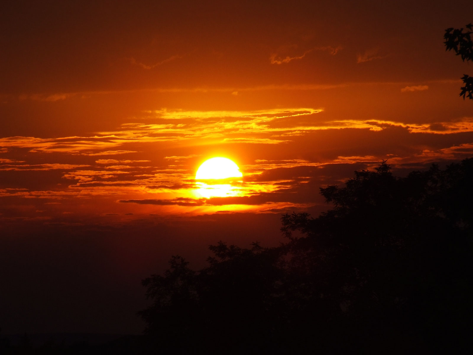 Earth-Sunset-17600