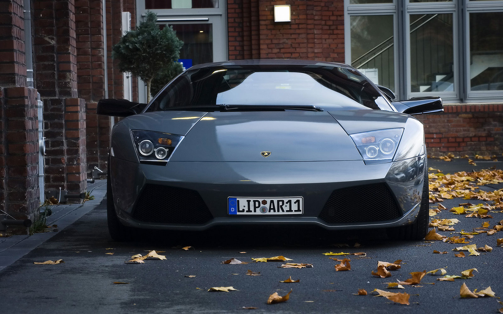Lamborghini11