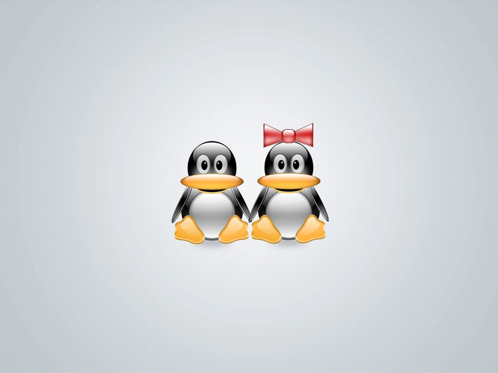 LinuxWallpaper24