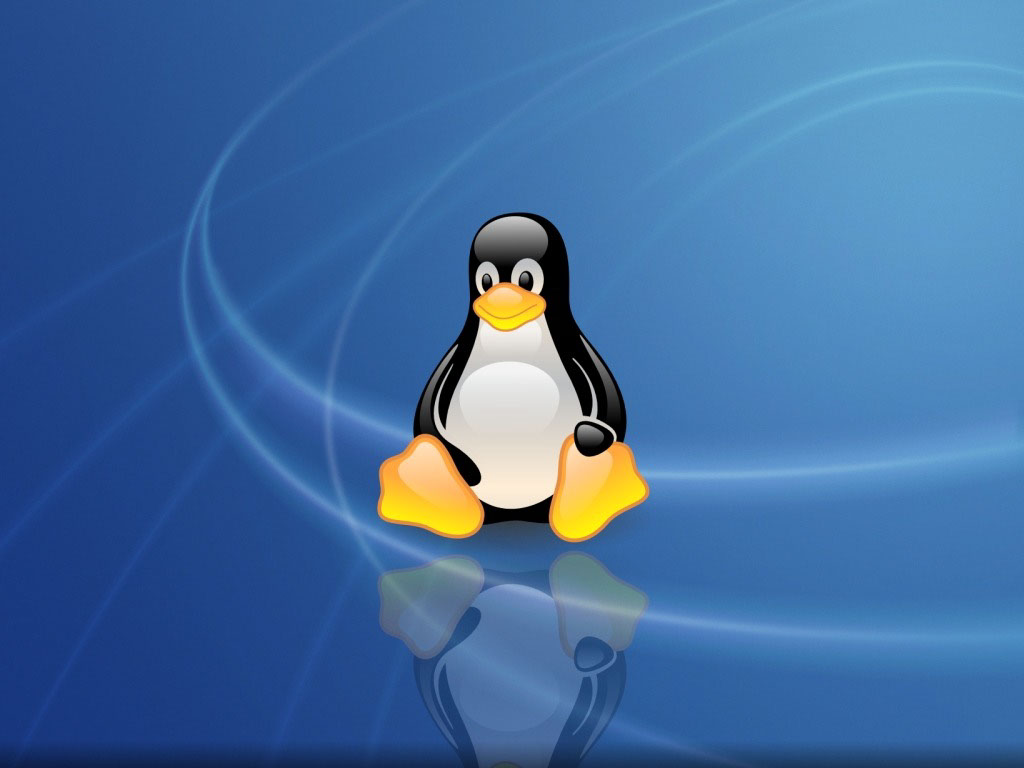 LinuxWallpaper29
