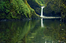 Landscape47