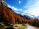 Earth-Mountain-10709