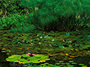 Earth-Water-29485