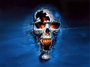 HorrorWall49