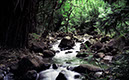 Earth-Water-54046