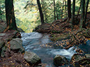 Earth-Water-22549