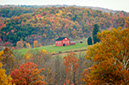 Landscape13