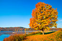 Landscape57