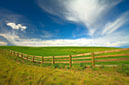 Landscape2