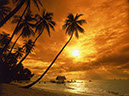 Earth-Sunset-4665