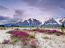 Earth-Mountain-15426