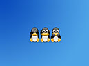 LinuxWallpaper1