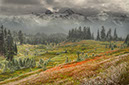 Landscape50